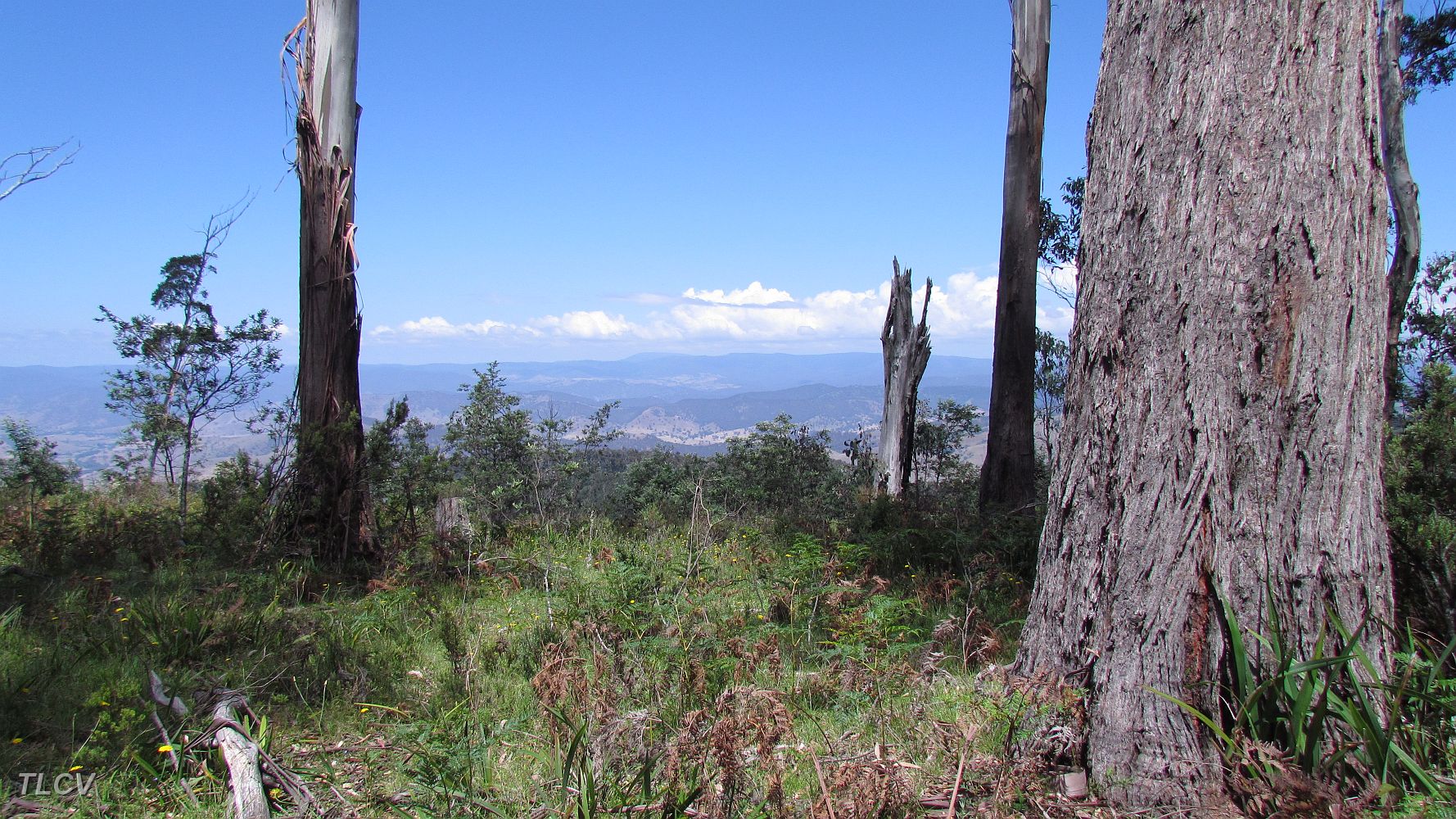 26-Views of Swifts Creek from Lees Track.JPG
